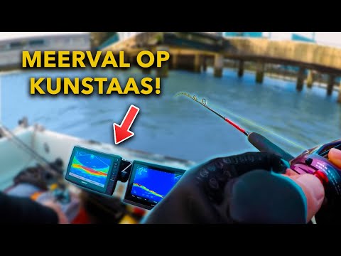 MEERVAL op KUNSTAAS in Rotterdam – Vangen we die 2 METER vis?