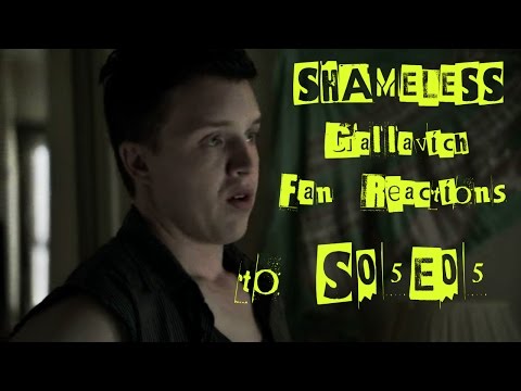 SHAMELESS - Gallavich Fan Reactions to S05E05