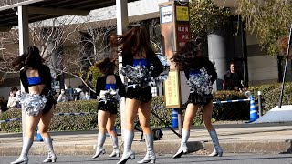 幕張豊砂駅 開業１周年まつり BIG BLUE Cheerleaders BBC①