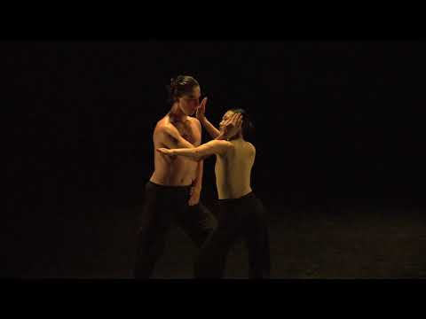Meerpaal-theater over Holland Dance Festival: „Aanstekelijke voorstelling” Meerpaal-theater over Holland Dance Festival: „Aanstekelijke voorstelling”