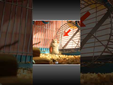 Fish Wanted Peacock Life 😱🦚 #roblox #shorts