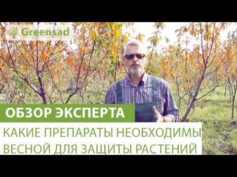 Эффективные препараты для обработки сада и огорода