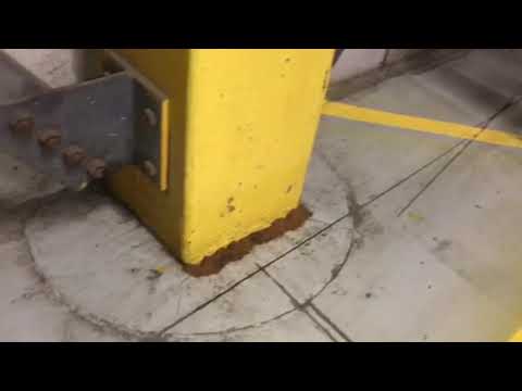Pavement Ants Wiggle Into A Warehouse in Middletown, NJ