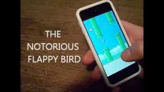 The Notorious Flappy Bird App On iPod For Sale