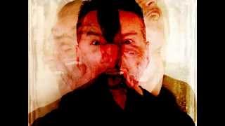 Dave Gahan & Soulsavers - Shine