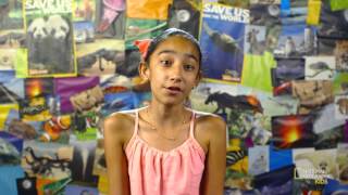 Listen for Wacky Bird Sounds | Nat Geo Kids Birds Playlist