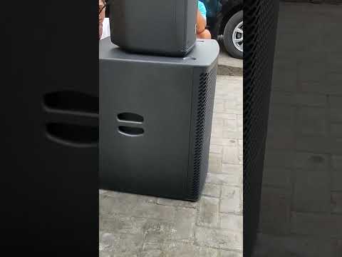 Subwoofer wisdom 118xd