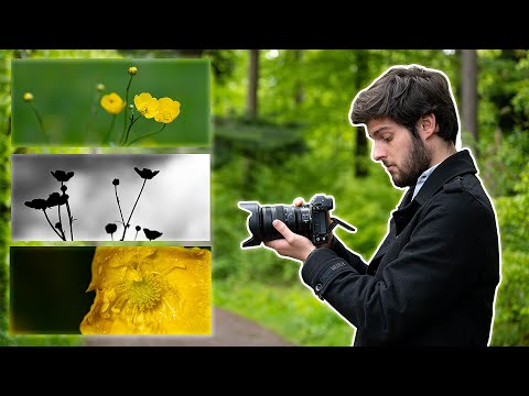 How to photograph flowers properly | 🌸 Tips & Tricks 🌼