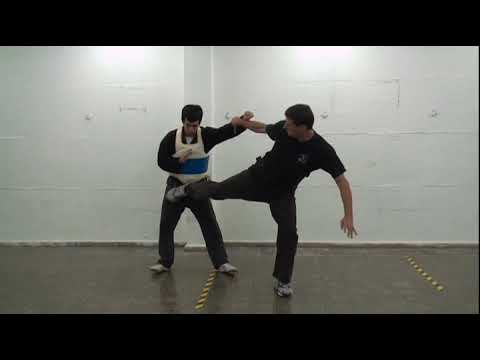 .The pre heaven 8 palms from - Applications