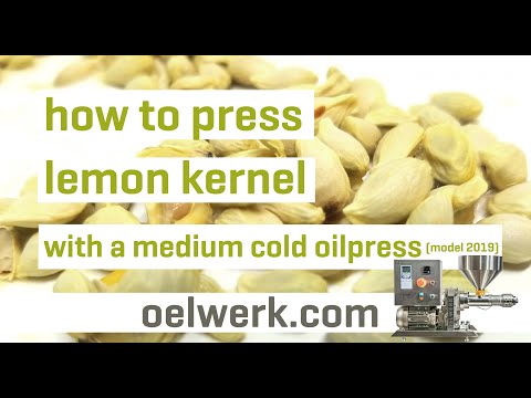 Getrocknete Zitronenkerne zu Öl pressen - mit beliebter Ölpresse OW510s-inox (Modell 2019)