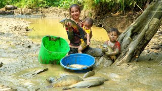 Harvest giant carp and bring them to the market to sell - grill the fish to eat with your children