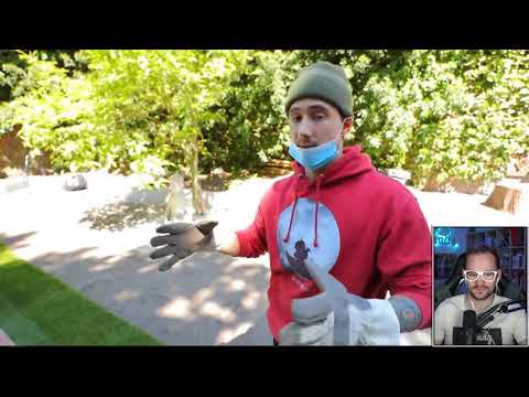 Broady REAGIERT auf Bulien Jam: POOLBAU Folge 12 💥 Broady Reaction