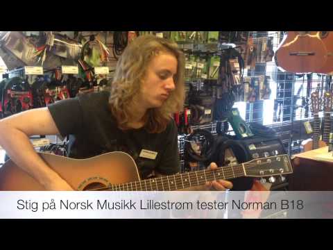 Пример звучания акустической гитары Norman Protege B18 Cedar Tobacco Burst