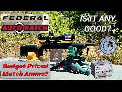 Are They Any Good? The Truth About Federal AutoMatch .22 LR – Review 