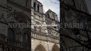 【パリ観光】ノートルダムの鐘｜424段の先に見た景色 | Tour de Notre Dame de Paris #travel #paris