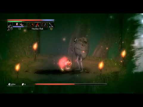 Salt and Sacrifice NG+ Dex build twindaggers vs Marega Gredanya