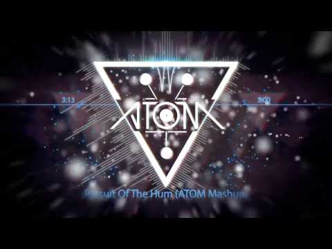 Pursuit of Happiness vs. The Hum - Steve Aoki vs. DV & LM & Ummet Ozcan (ATOM Mashup)