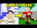 Birth To Death A Roblox ShanePlays Brookhaven Full Movie
