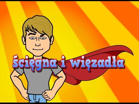 Skurcz mięśni w dolnej części pleców Jakie witaminy potrzebne kulturystyki