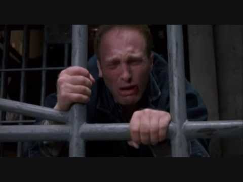 Le Ali della libertà: ultimo raid delle "sorelle" e la fine di Bogs.