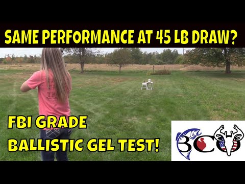 ANNIHILATOR BROADHEAD LOW POUNDAGE BALLISTIC GEL TEST| SHOCKING!