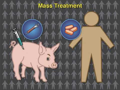 Teniosis geohelmint - Teniosis helminth jellemző. Jeles képviselők