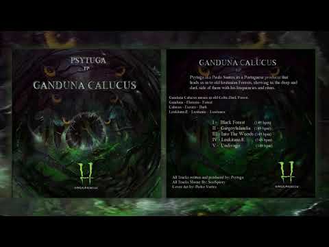 05. Psytuga - Undívago 148Bpm