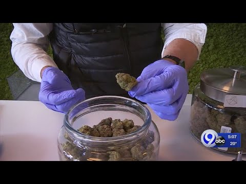 cannabis law in Massachusetts