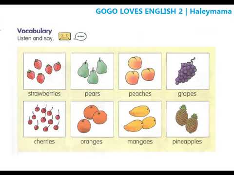 Unit 6: What are these? | Gogo loves English 2 | Haleymama