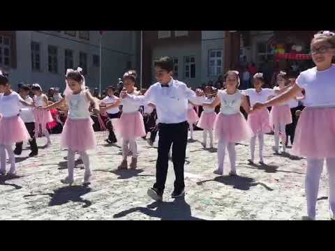 23 Nisa’n erik dalı