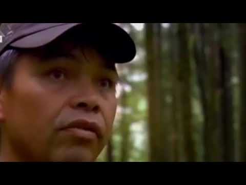 dengbêj...Mhemed piro koktel