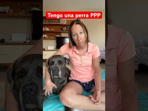 Os presento a mi perrita PPP