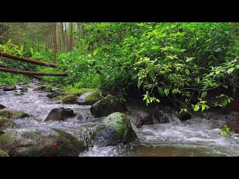 Healing River Sounds – 10 Hours of Calming ASMR for Focus & Mind Relief