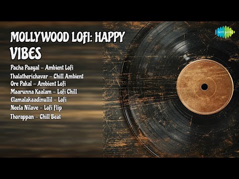 Lofi മാന്ത്രിക ലോകം | Heart Killer Beats Songs | Pacha Paayal  Ambient Lofi