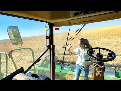 , title : 'I fell off the combine! Dad is the King of Sarcasm! Montana Harvest 2022'