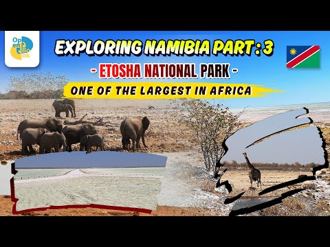 Exploring Namibia - Part 3 || Etosha National Park || #etoshanationalpark #etosha #namibiatourism