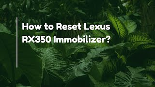 How to Reset Lexus RX350 Immobilizer?