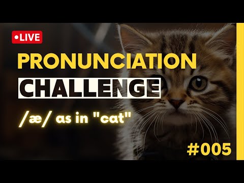 Vowel sound /æ/ as in "cat"