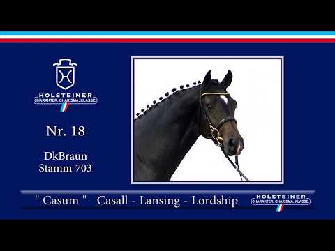 Holsteiner Körlot 2018 | Nr. 18 - CASUM v. Casall - Lansing