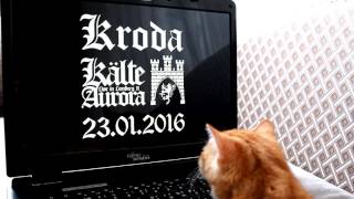 Black Metal Fan Cat