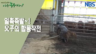 [으라차차 내 꿈은 축산왕] 뛰는 승수 씨 곁에 나는 아버지