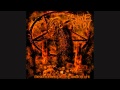 Silence Shall Return-Desecration Of The ...