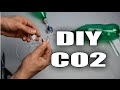 Diy Co2 System For Aquarium Plants