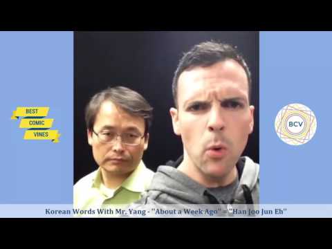 Ultimate Eh Bee Family Vine Compilation and Funniest Videos