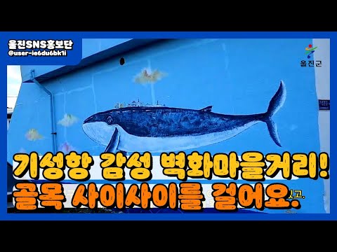 기성항 감성 벽화마을 구경하기! :: 울진SNS홍보단 :: 울진군청