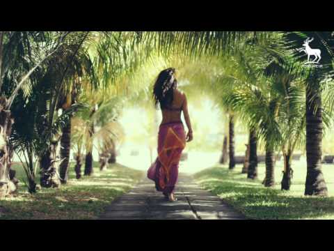 Sam Smith - How Will I Know (Chris Meid Remix)