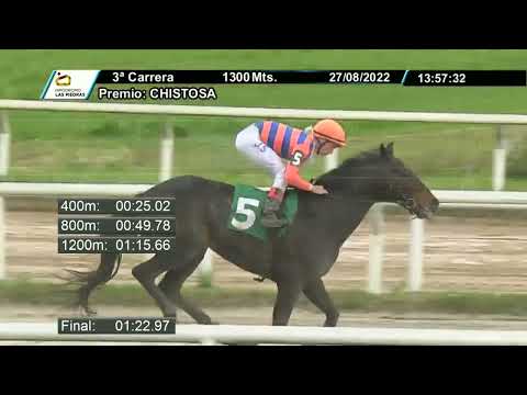 220827 c03 - JITTERBUG (BRZ) - HIPODROMO LAS PIEDRAS