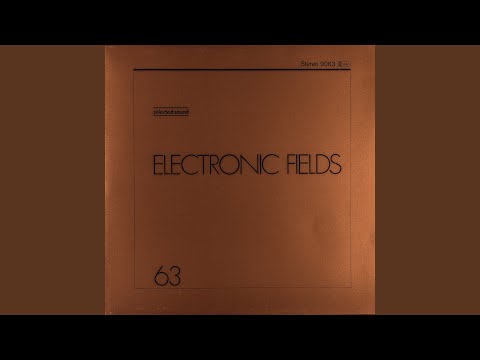 Electronic Fields 20