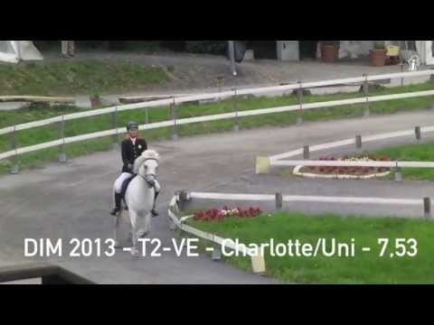 DIM 2013 - T2-VE Charlotte Passau - www.isibless.de