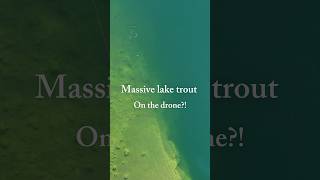 Locked onto a big lake trout from above #fishing #laketrout #freshwaterfish #trout